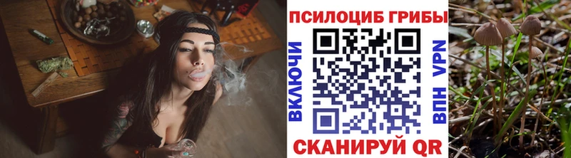 нарко площадка наркотические препараты  Приволжск  Галлюциногенные грибы Cubensis 
