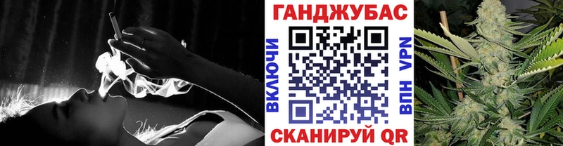 закладка  Приволжск  Марихуана сатива 
